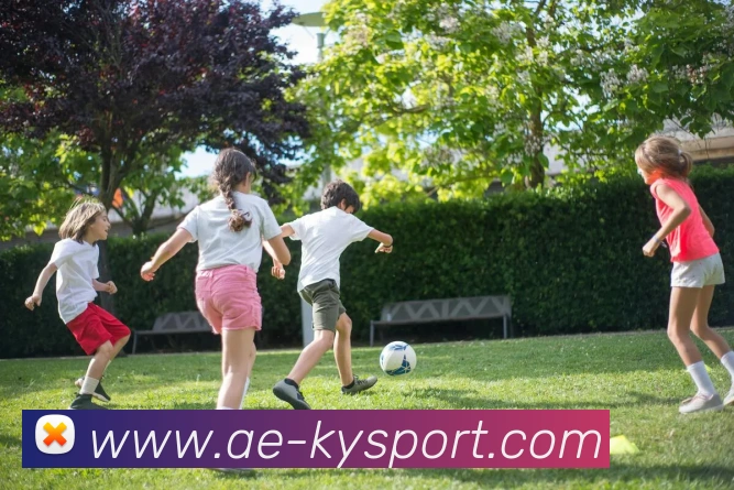 开云足球平台生态图