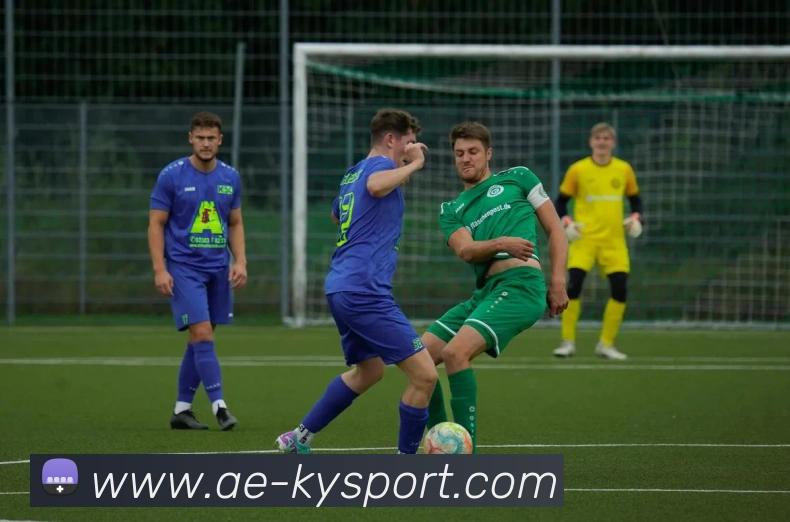 开云足球APP 封面图